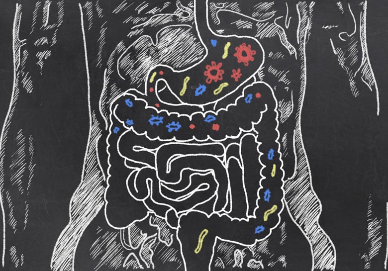 digestive-whiteboard