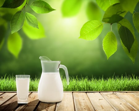 The Crucial Role of Vitamin D in Bone Health